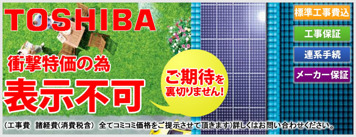 東芝は世界トップレベルの発電効力で人気No.1の太陽光発電システム！